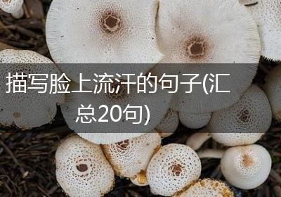 描写脸上流汗的句子(汇总20句)
