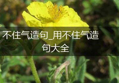 不住气造句_用不住气造句大全