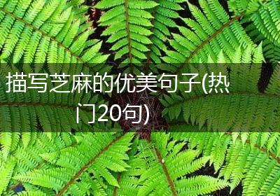 描写芝麻的优美句子(热门20句)