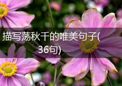 描写荡秋千的唯美句子(36句)