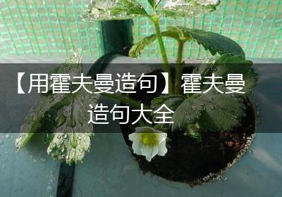 【用霍夫曼造句】霍夫曼造句大全