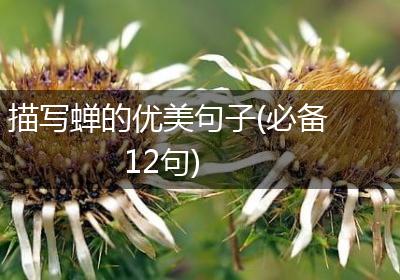 描写蝉的优美句子(必备12句)