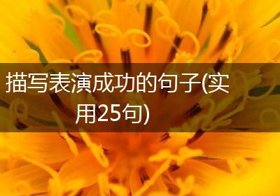 描写表演成功的句子(实用25句)