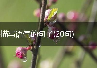 描写语气的句子(20句)