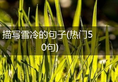 描写雪冷的句子(热门50句)