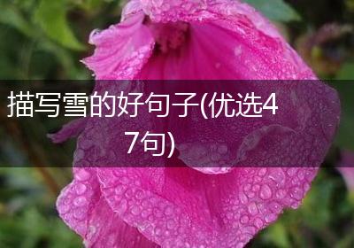 描写雪的好句子(优选47句)