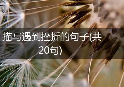 描写遇到挫折的句子(共20句)