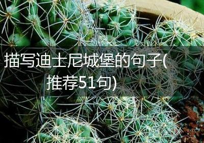 描写迪士尼城堡的句子(推荐51句)