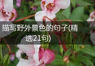 描写野外景色的句子(精选21句)