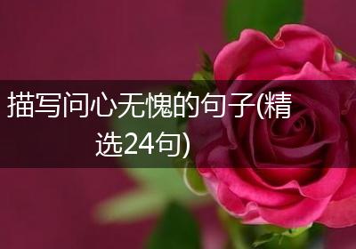 描写问心无愧的句子(精选24句)