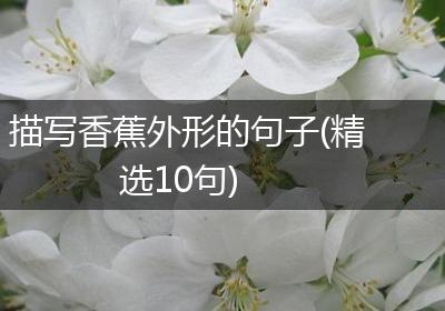 描写香蕉外形的句子(精选10句)