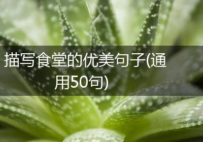 描写食堂的优美句子(通用50句)