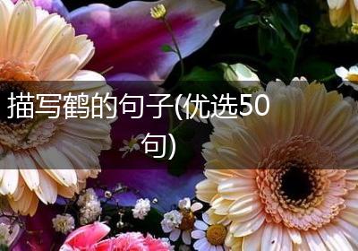 描写鹤的句子(优选50句)