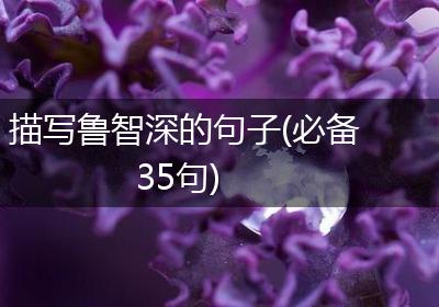 描写鲁智深的句子(必备35句)