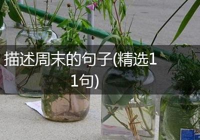 描述周末的句子(精选11句)