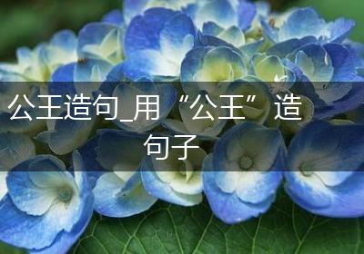 公王造句_用“公王”造句子