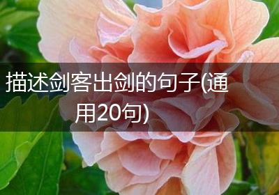 描述剑客出剑的句子(通用20句)