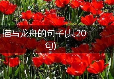 描写龙舟的句子(共20句)