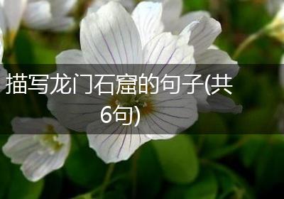 描写龙门石窟的句子(共6句)