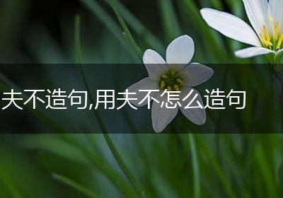 夫不造句,用夫不怎么造句