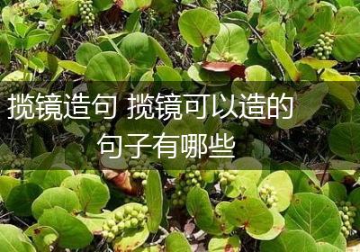 揽镜造句 揽镜可以造的句子有哪些