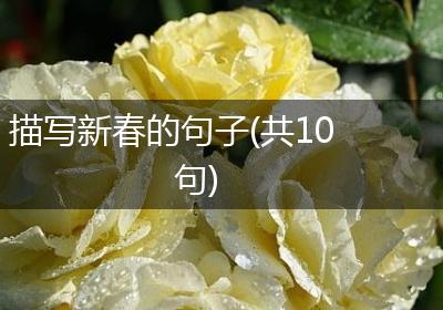 描写新春的句子(共10句)