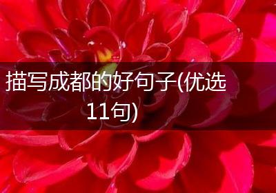 描写成都的好句子(优选11句)