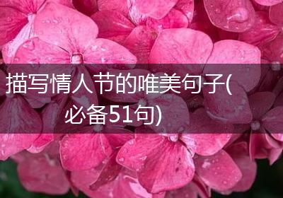 描写情人节的唯美句子(必备51句)