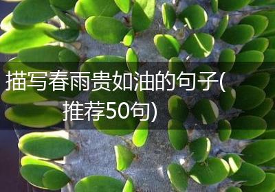描写春雨贵如油的句子(推荐50句)