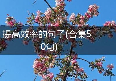 提高效率的句子(合集50句)