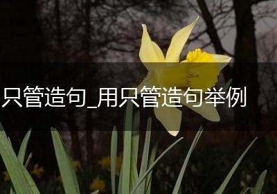 只管造句_用只管造句举例