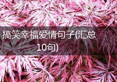 搞笑幸福爱情句子(汇总10句)