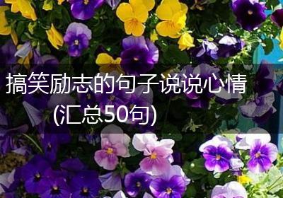 搞笑励志的句子说说心情(汇总50句)