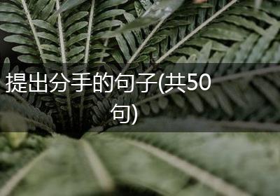 提出分手的句子(共50句)