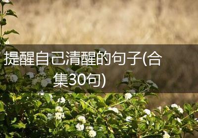 提醒自己清醒的句子(合集30句)