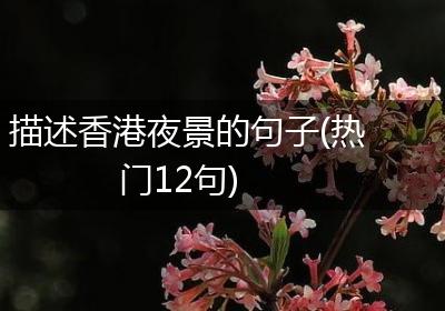 描述香港夜景的句子(热门12句)