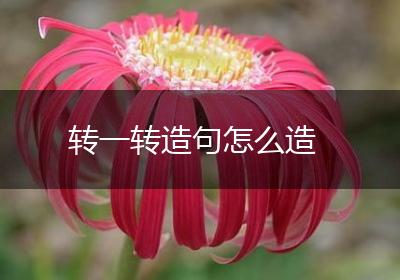 转一转造句怎么造