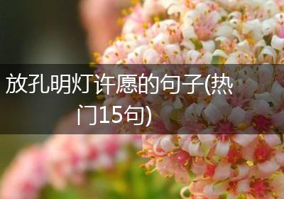放孔明灯许愿的句子(热门15句)