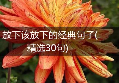 放下该放下的经典句子(精选30句)