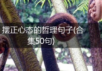 摆正心态的哲理句子(合集50句)