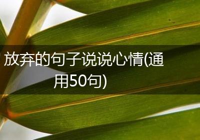 放弃的句子说说心情(通用50句)