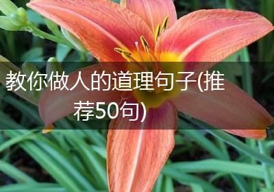 教你做人的道理句子(推荐50句)