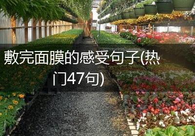 敷完面膜的感受句子(热门47句)