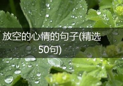 放空的心情的句子(精选50句)