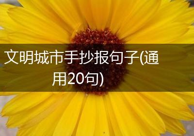 文明城市手抄报句子(通用20句)