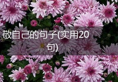 敬自己的句子(实用20句)