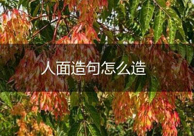 人面造句怎么造