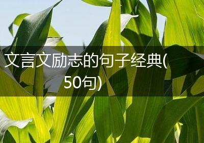 文言文励志的句子经典(50句)