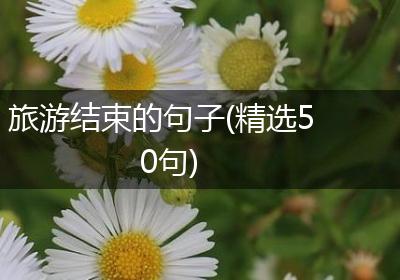 旅游结束的句子(精选50句)