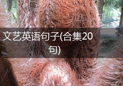 文艺英语句子(合集20句)